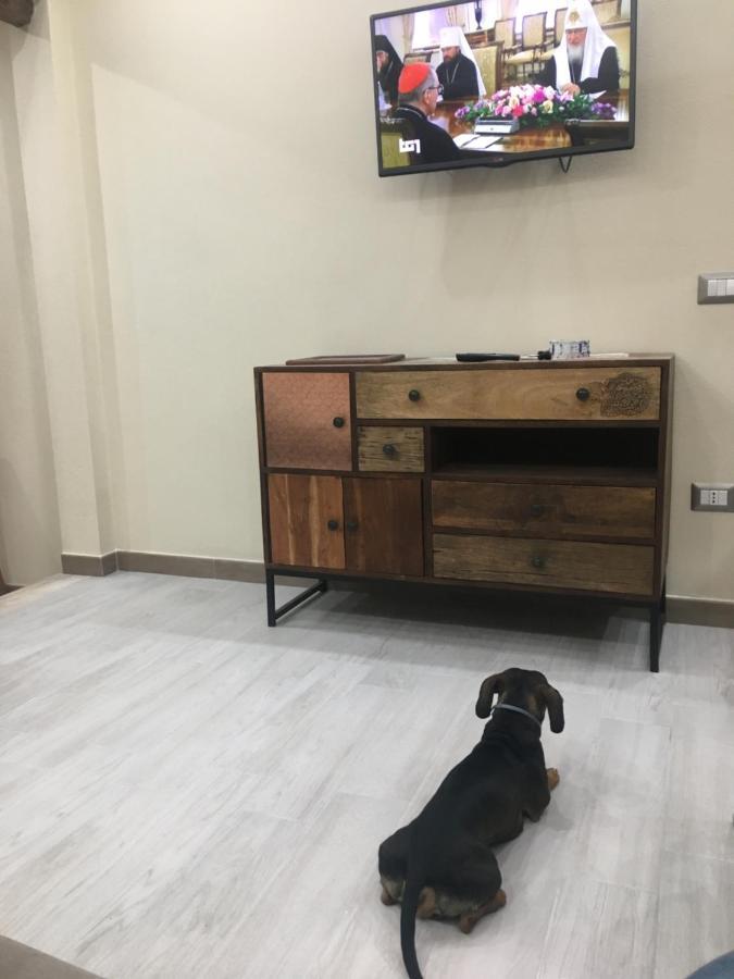 Flamingo Luxury Apartment Ajpsardinia 卡利亚里 外观 照片