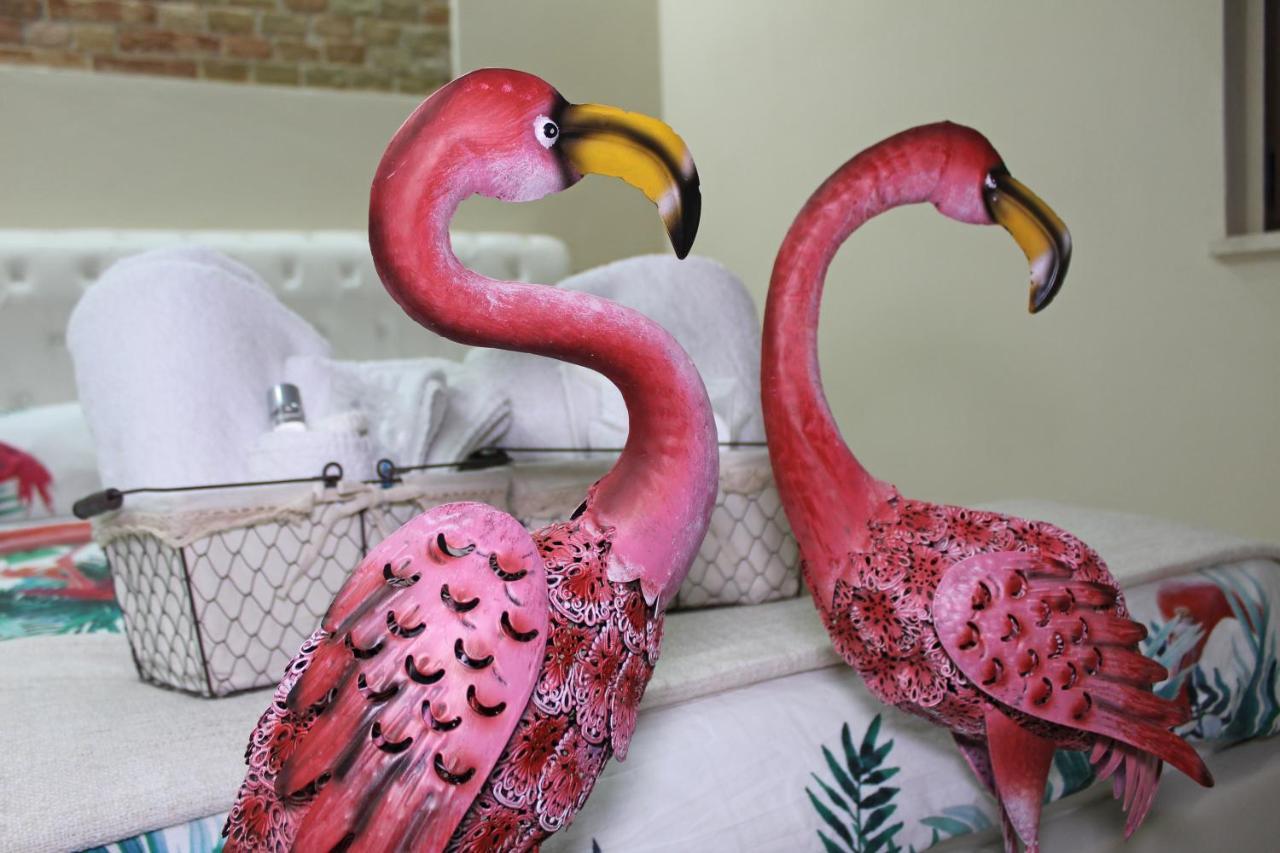 Flamingo Luxury Apartment Ajpsardinia 卡利亚里 外观 照片